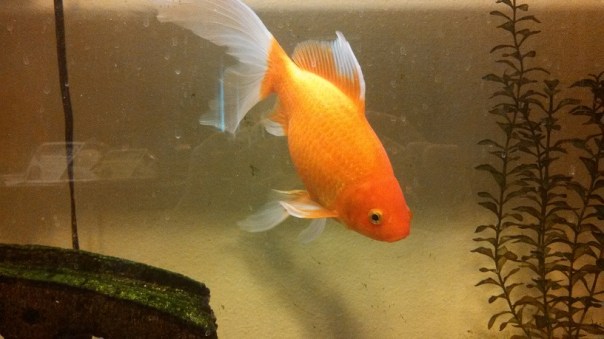 IMG_20140131_122557_942